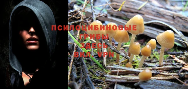 марки nbome Куйбышев