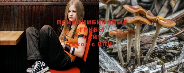 apvp Архангельск