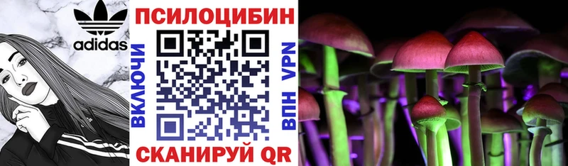 Галлюциногенные грибы Psilocybe  продажа наркотиков  Оха 